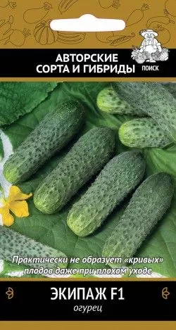 Основное изображение