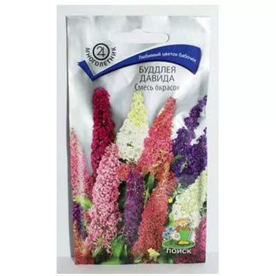 Семена буддлея Давида смесь окрасок 10шт Поиск 