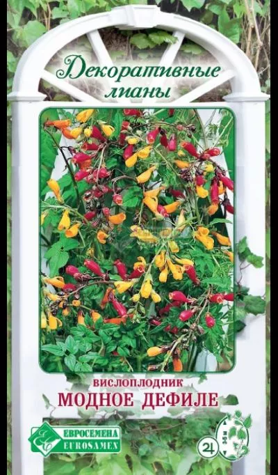 ОсновноеИзображение