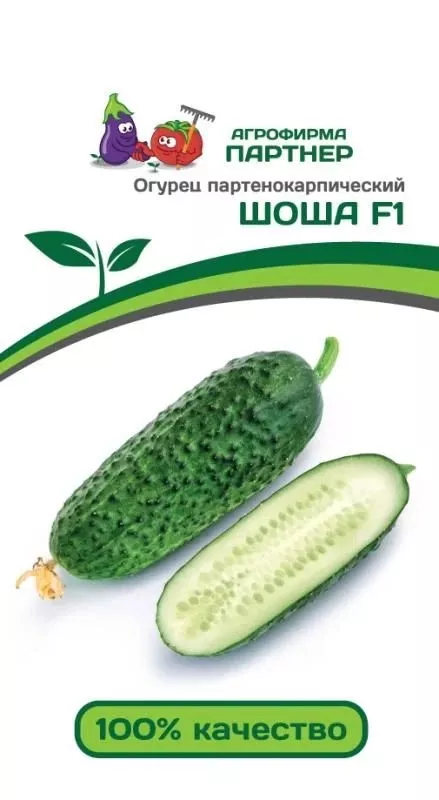 Семена Огурец партенокарпический Шоша F1 5 шт.Партнер 