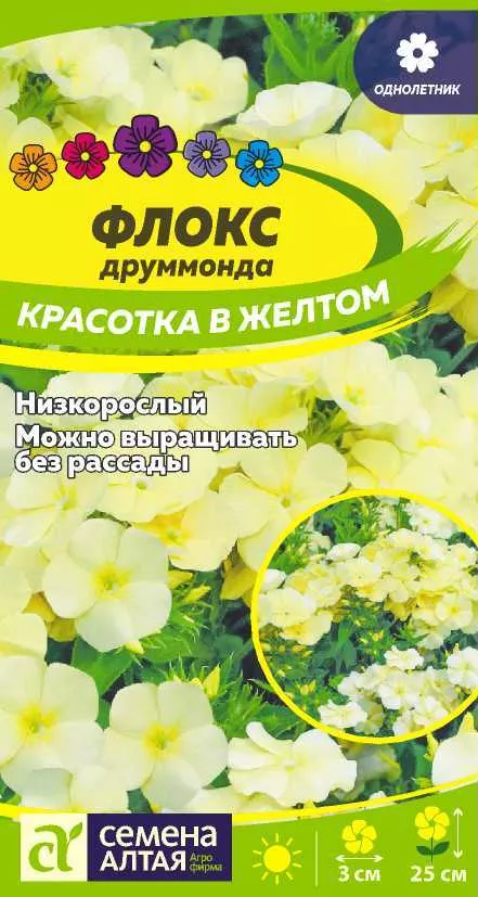 Семена Флокс друммонда Красотка в желтом 0,1г Семена Алтая 