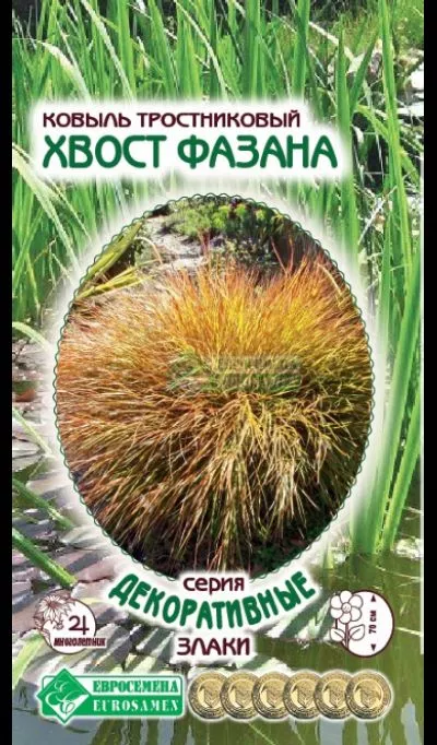 ОсновноеИзображение