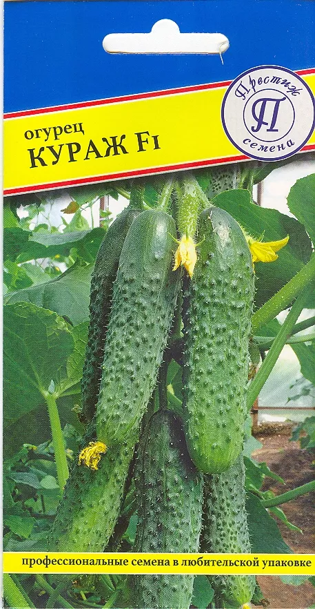 Семена Огурец патернокарпический Кураж F1 5 шт Престиж 
