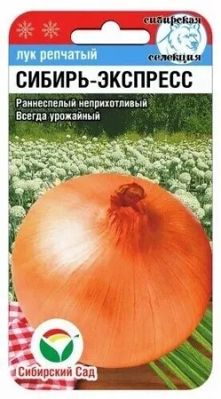 Семена Лук репчатый Сибирь-Экспресс 1г Сибирский Сад 