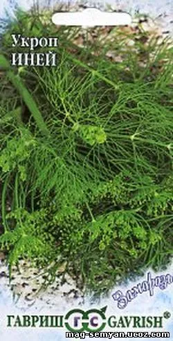 Семена укроп Иней 2г сер Заморозь Гавриш 