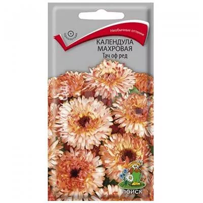 Основное изображение