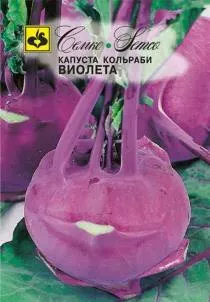 Семена Капуста кольраби Виолета  0,5 г Семко 