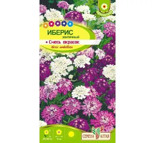 Семена Иберис зонтичный Смесь Окрасок 0,3г Семена Алтая 