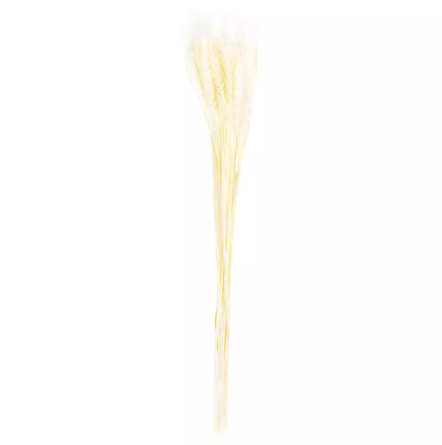 Сухоцветы Пшеница набор 30шт 70см, белый по цене 