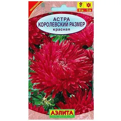 Семена Астра Королевский размер красная Аэлита 