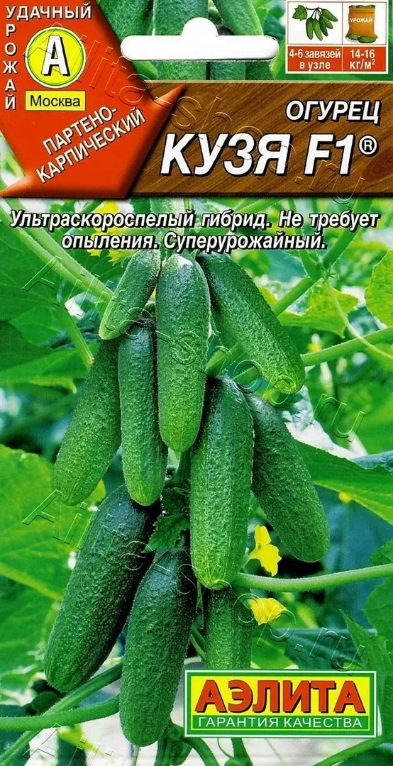 Семена Огурец партенокарпический Кузя F1 10шт Аэлита 