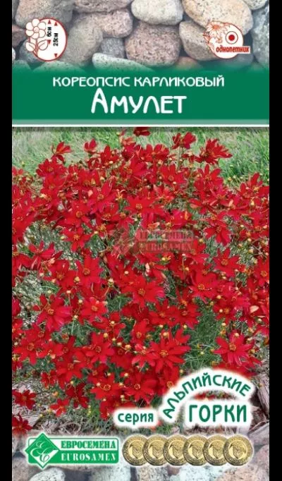 ОсновноеИзображение