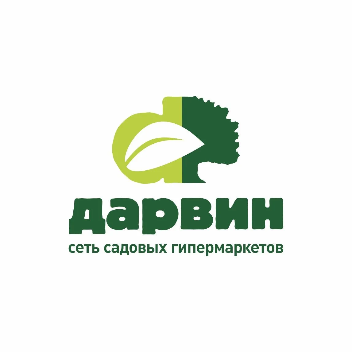 Эпипремнум Ауреум грин d11 h30 