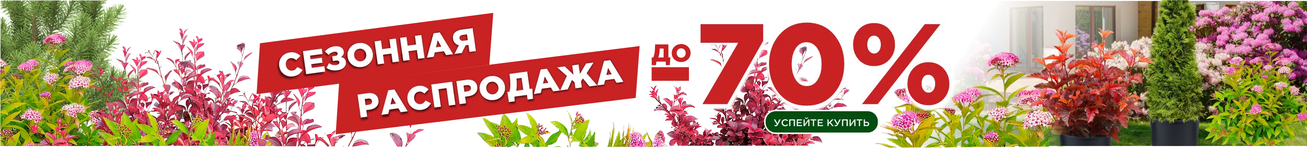 Сезонная распродажа Сезонная распродажа