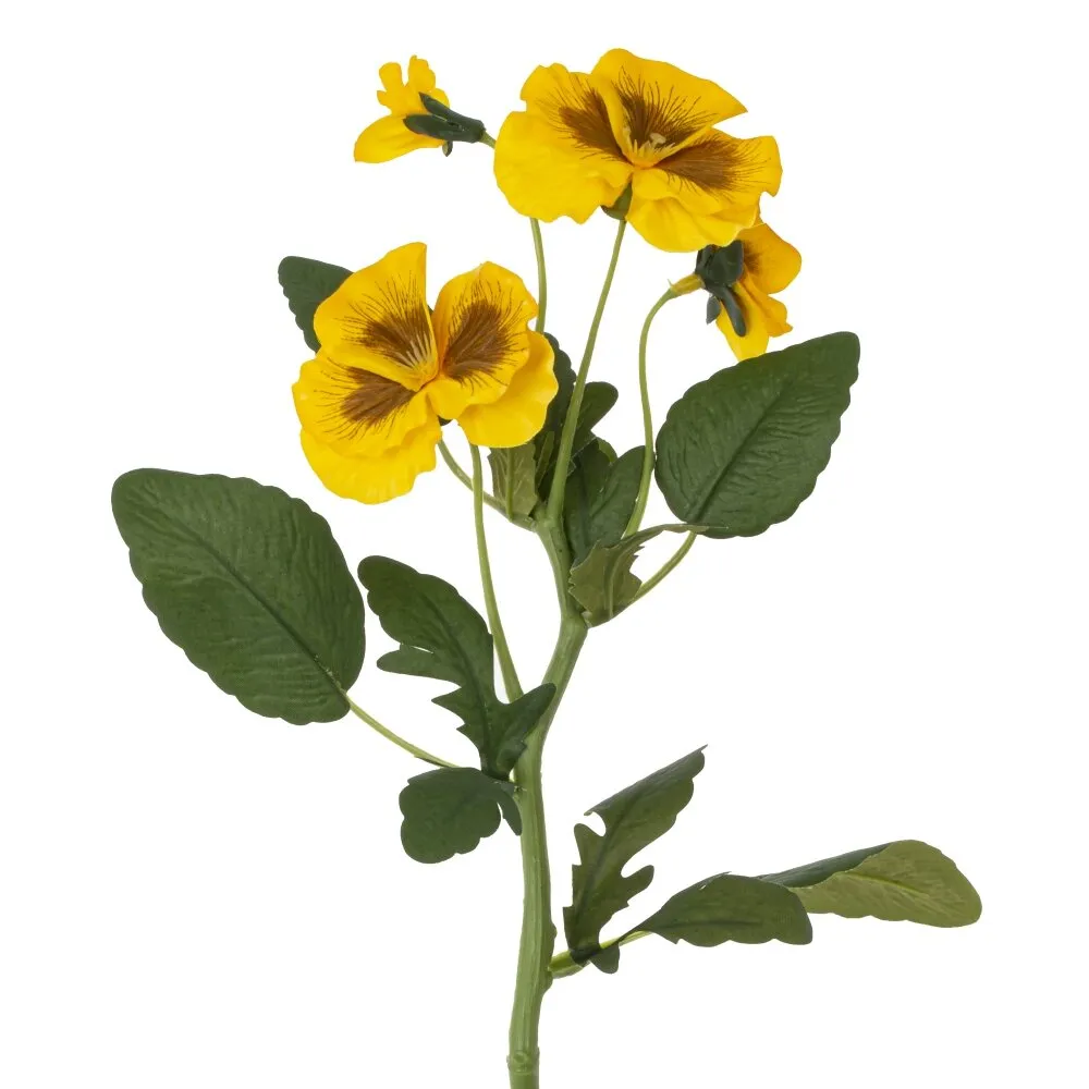 ОсновноеИзображение