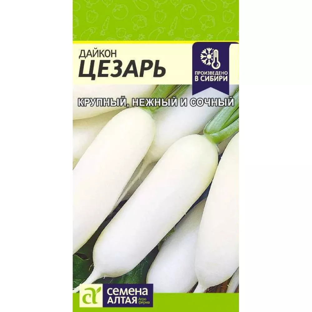 Семена Дайкон Цезарь  1 гр. Семена Алтая 