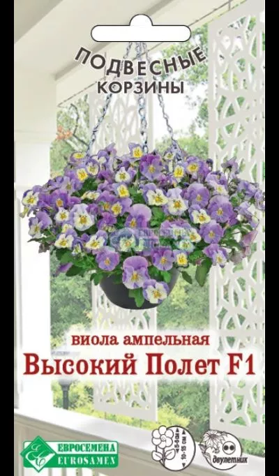 ОсновноеИзображение