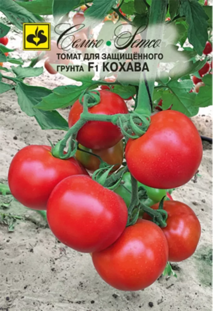 Семена Томат Кохава F1 5 шт Семко 