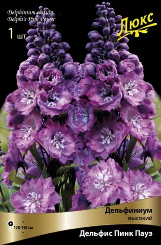Корневище Дельфиниум высокий Дельфис Пинк Пауэ1 шт Поиск 