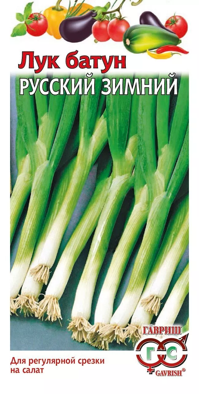 Семена лук батун Русский зимний 0,05г Гавриш 