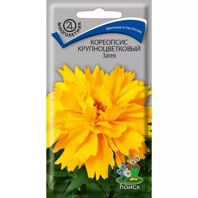 Семена Кореопсис крупноцветковый Затея,0,05г Поиск 