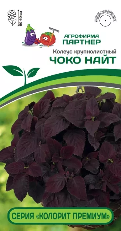 Семена Колеус шлемниковидный крупнолистный Премиум Чоко Найт 5 шт.Партнер 