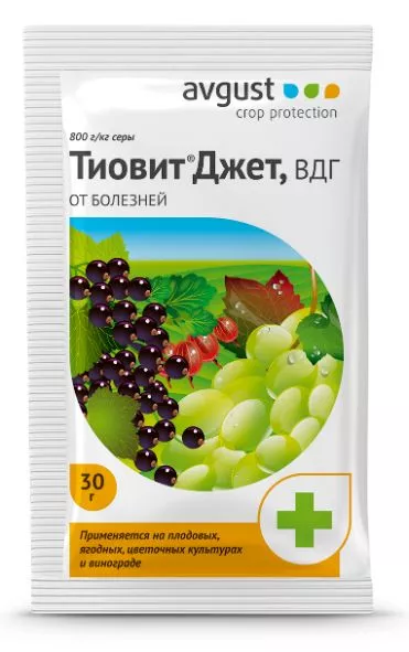Фунгицид Август Тиовит Джет для всех культур от мучнистой росы 30г (шт) по цене 
