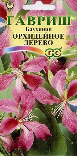 Семена цветов баухиния Орхидейное дерево 3шт Гавриш 