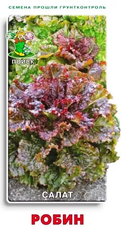 Основное изображение