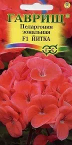 Семена пеларгония Йитка F1 зональная 4шт Гавриш 