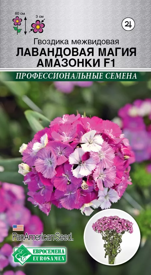 ОсновноеИзображение