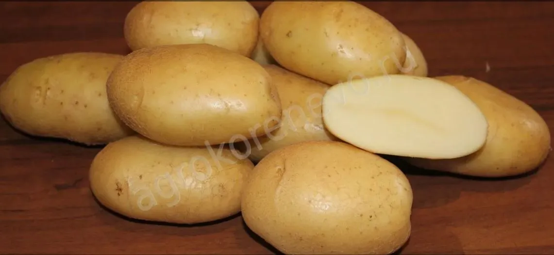 Картофель семенной Крепыш СуперЭлита 2кг Коренево 