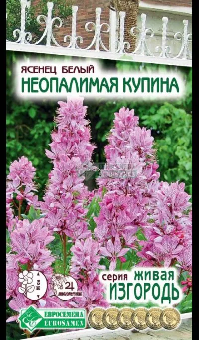 ОсновноеИзображение