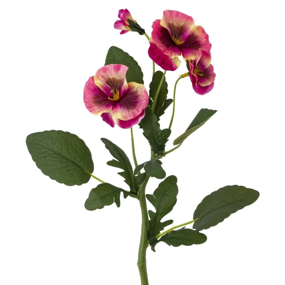 ОсновноеИзображение