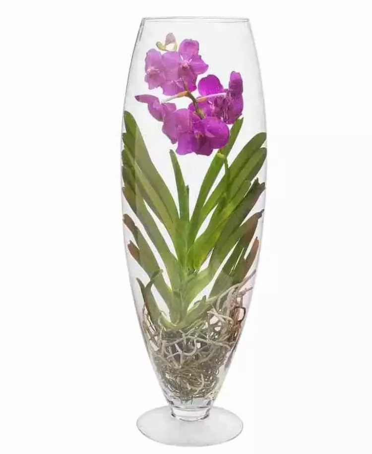 ОсновноеИзображение