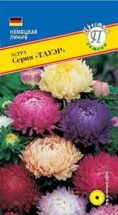 Семена астра Тауэр смесь всех цветов 0,3г Престиж 