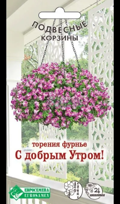 Семена Торения Фурнье с добрым утром! 5 драже Евросемена 