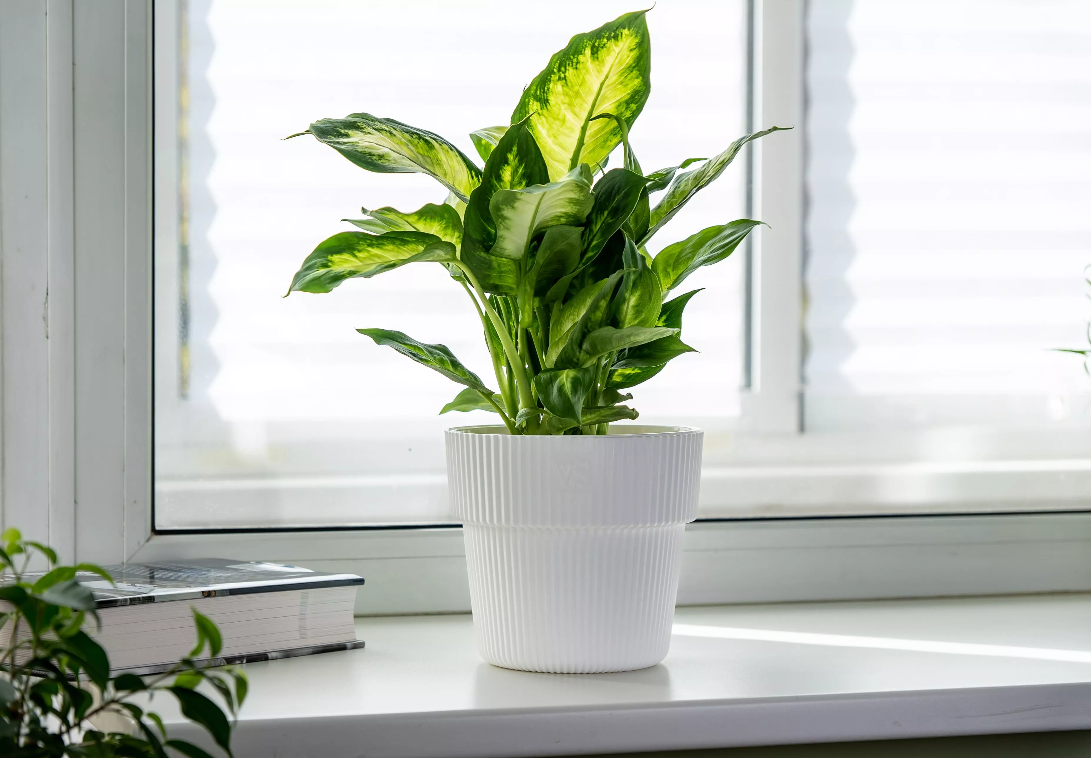 Горшок с дренажной системой Алемар ВипСет 4,8л белый, пластик арт.АМА-4,8-01 по цене 