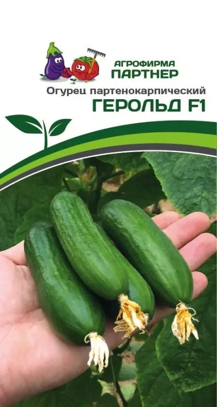 Семена Огурец партенокарпический Герольд F1 5 шт.Партнер 