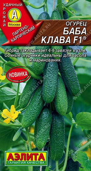 Основное изображение