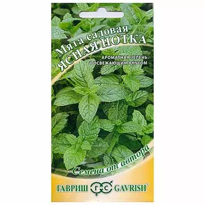 Семена мята Ясная нотка 0,05 г Гавриш 