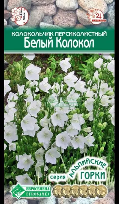 ОсновноеИзображение