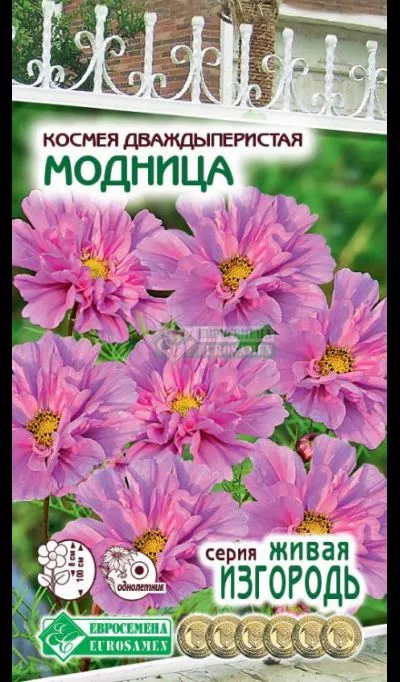 ОсновноеИзображение