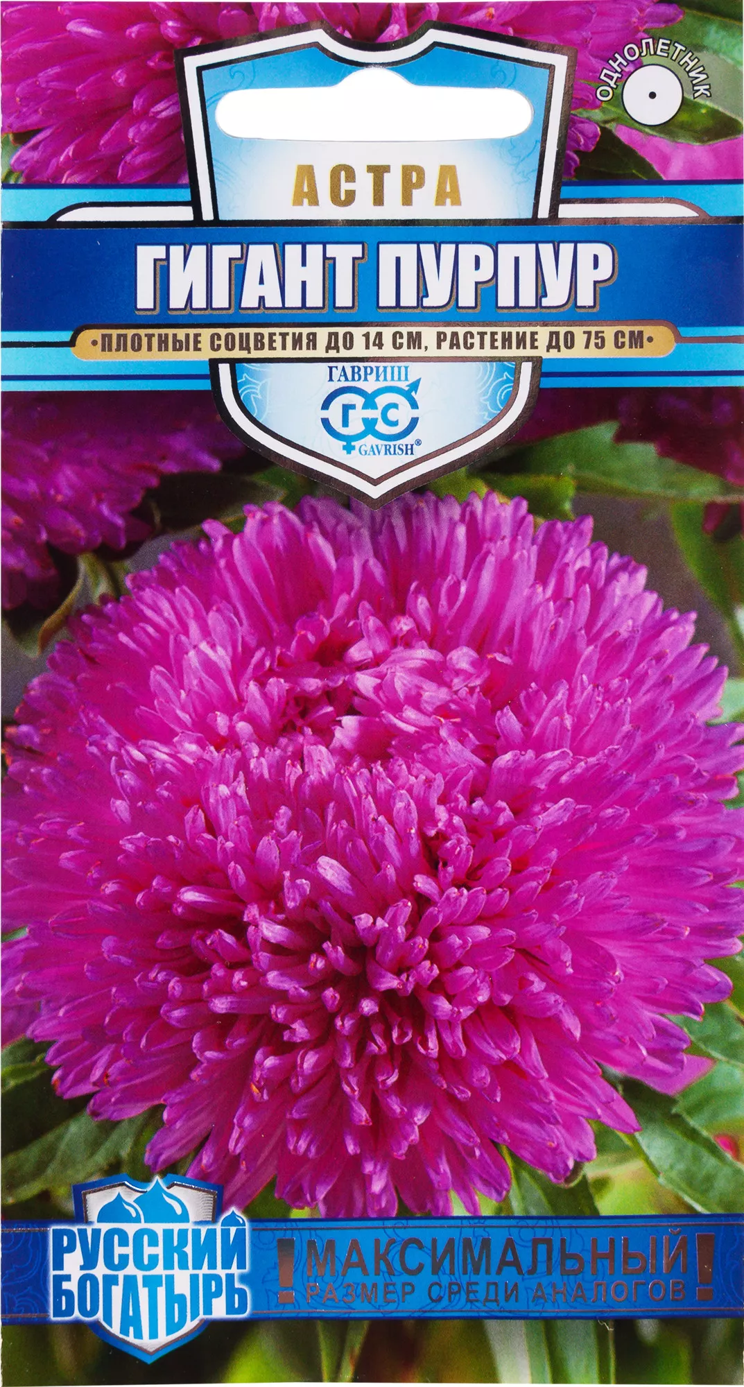 Семена Астра Гигант пурпур 0,05 г Гавриш 