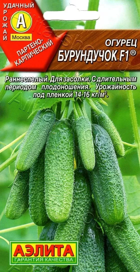 Семена Огурец партенокарпический Бурундучок F1 10шт Аэлита 
