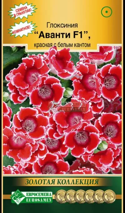 Семена Глоксиния Аванти  F1 красная с бел