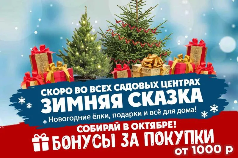 Дарим бонусы за покупки