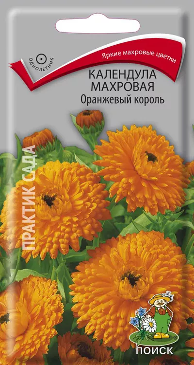 Основное изображение