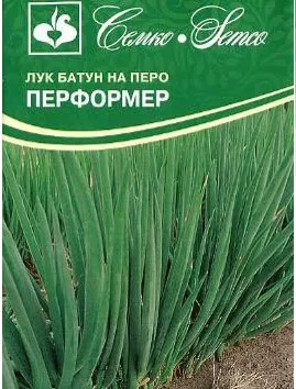 Семена Лук батун Перформер  1 г Семко 