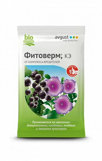 Основное изображение